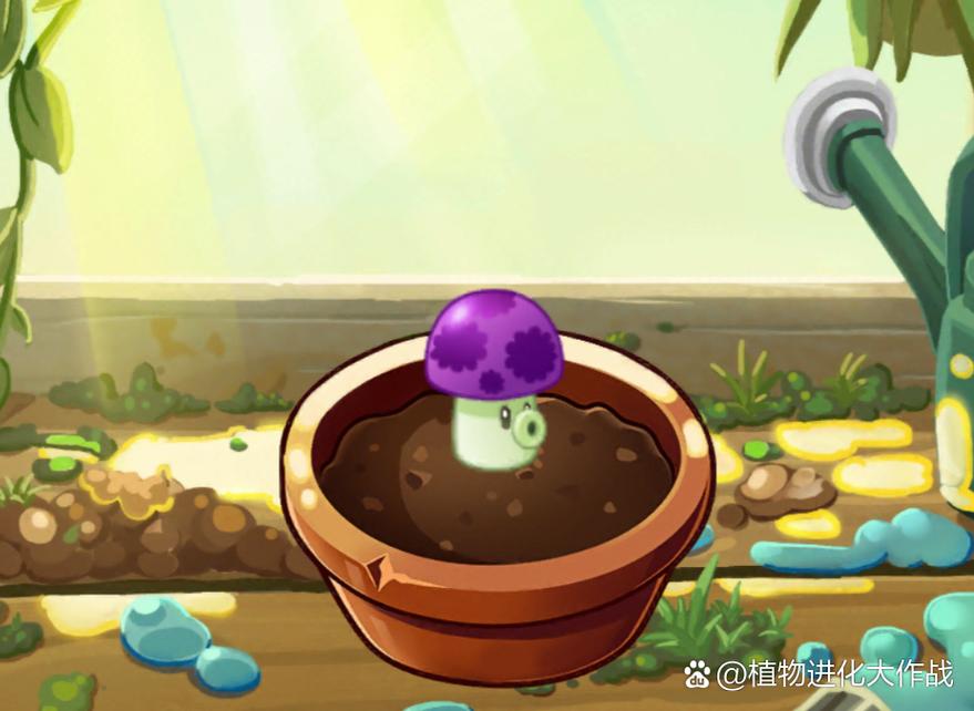 植物大战僵尸2小喷菇-小游戏植物大战僵尸1