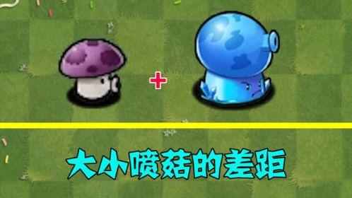 植物大战僵尸2小喷菇-小游戏植物大战僵尸1-第3张图片-屿企游戏网
