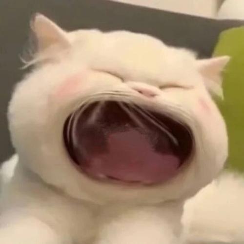 崩坏学院2祈愿星球_崩坏学园2祈愿机制-第5张图片-屿企游戏网