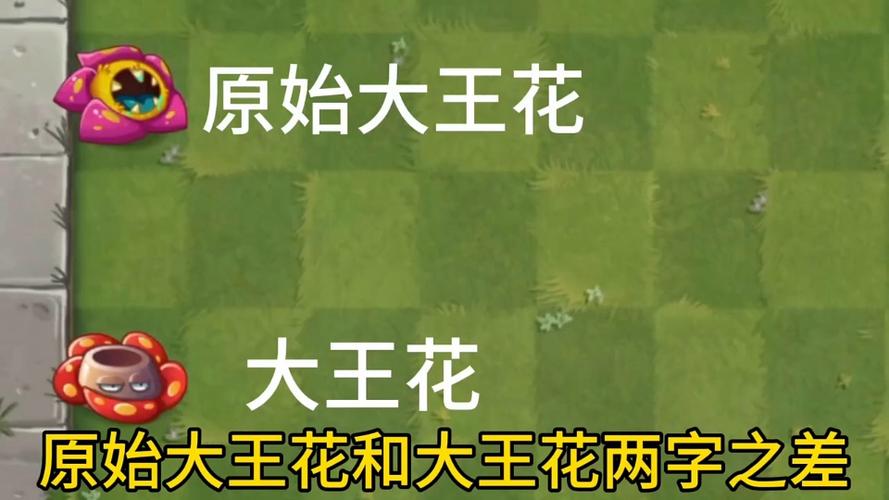 植物大战僵尸2原始大王花视频-植物大战僵尸2原始大王花是神器吗?-第4张图片-屿企游戏网