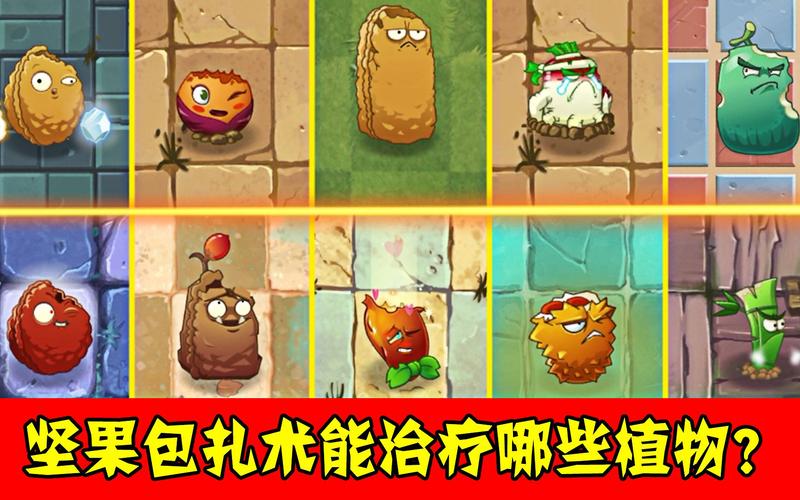 坚果植物大战僵尸-蓝色坚果植物大战僵尸-第4张图片-屿企游戏网