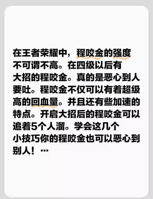 程咬金攻略王者荣耀，王者荣耀程咬金打法教学-第5张图片-屿企游戏网
