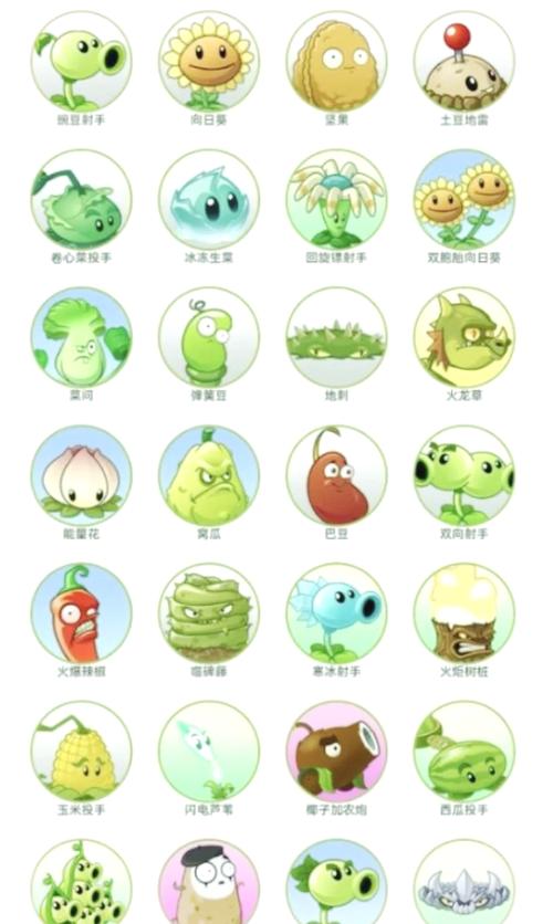 植物大战僵尸植物名字，植物名称大全500种