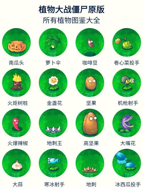 植物大战僵尸所有植物_植物大战僵尸所有植物和僵尸-第4张图片-屿企游戏网
