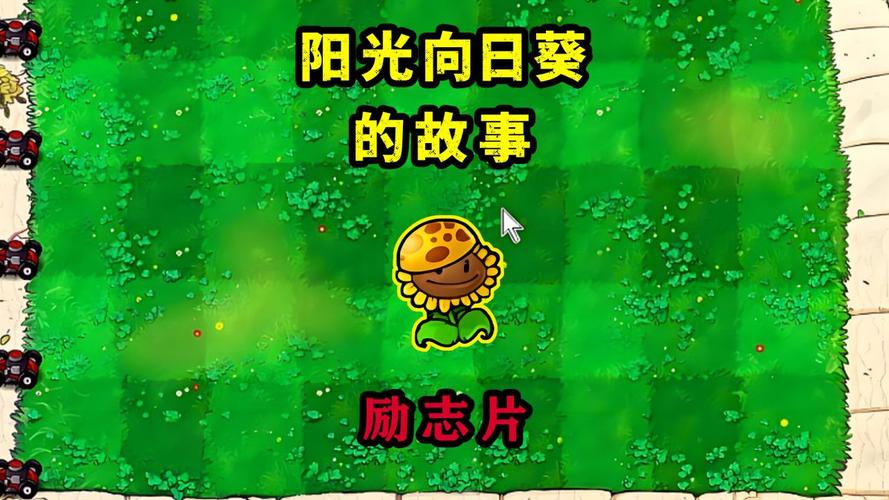 植物大战僵尸向日葵h，植物大战僵尸向日葵表情包