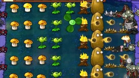 植物大战僵尸夜晚攻略_植物大战僵尸夜晚困难模式攻略-第5张图片-屿企游戏网