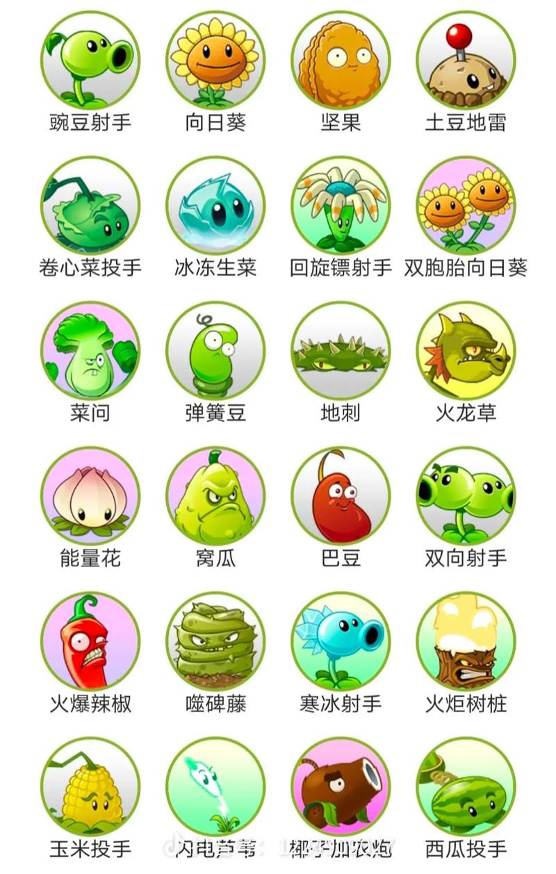 植物大战僵尸多的植物，植物大战僵尸里的植物有多少种-第3张图片-屿企游戏网