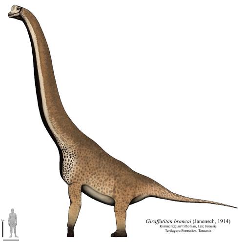 王者荣耀遗迹守卫攻略最新-遗迹守卫是什么属性-第3张图片-屿企游戏网