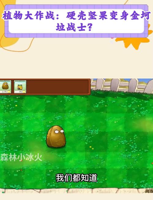 植物大战僵尸植物坚果_植物大战僵尸植物坚果图片-第5张图片-屿企游戏网