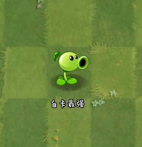 植物大战僵尸大喷菇_植物大战僵尸大喷菇升级版-第4张图片-屿企游戏网