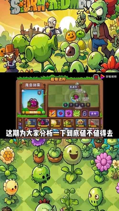 植物大战僵尸2好用的植物_植物大战僵尸2实用植物推荐哪个植物好用-第3张图片-屿企游戏网