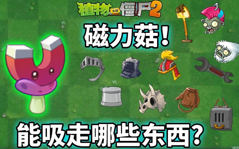 植物大战僵尸磁力菇，植物大战僵尸磁力菇是哪个