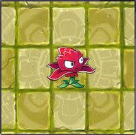 植物大战僵尸红针花_植物大战僵尸红针花是男的还是女的-第3张图片-屿企游戏网