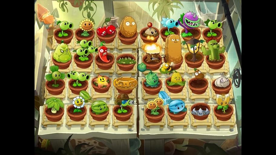 植物大战僵尸的植物的图片_植物大战僵尸植物的图片除了蘑菇家族可以-第4张图片-屿企游戏网