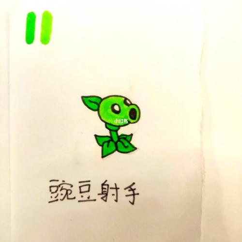 植物大战僵尸2的植物画_植物大战僵尸二里面的植物简笔画-第3张图片-屿企游戏网