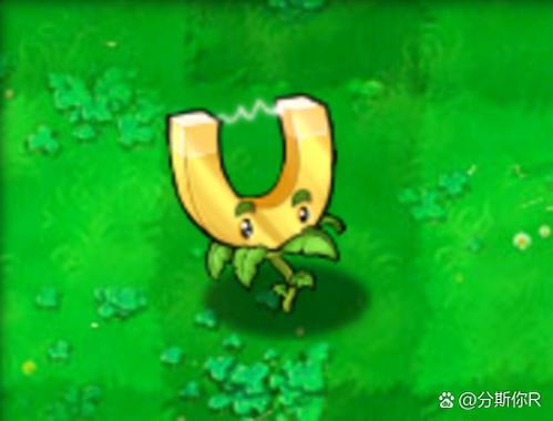 植物大战僵尸的蘑菇-植物大战僵尸的蘑菇图片-第3张图片-屿企游戏网