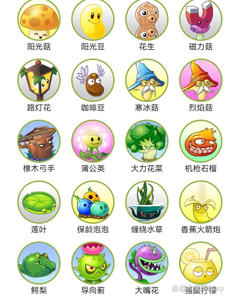植物大战僵尸的蘑菇-植物大战僵尸的蘑菇图片-第5张图片-屿企游戏网