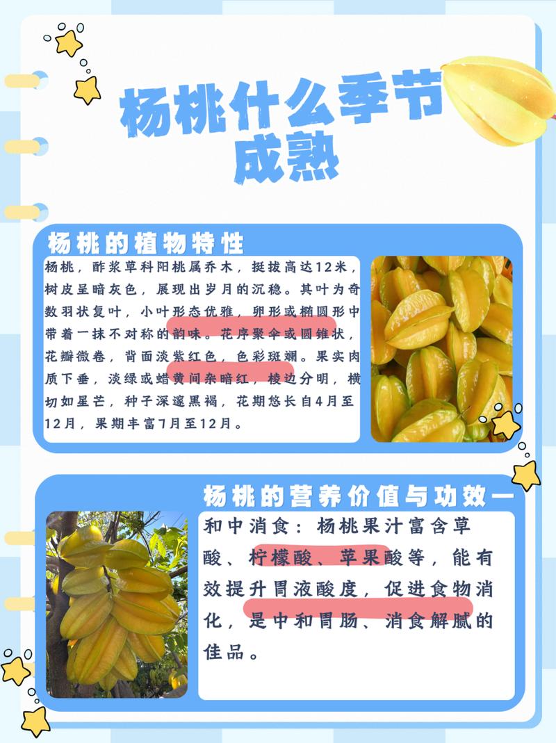 植物大战僵尸的相关事,植物大战僵尸相关内容-第1张图片-屿企游戏网 植物大战僵尸的相关事,植物大战僵尸相关内容-第1张图片-屿企游戏网