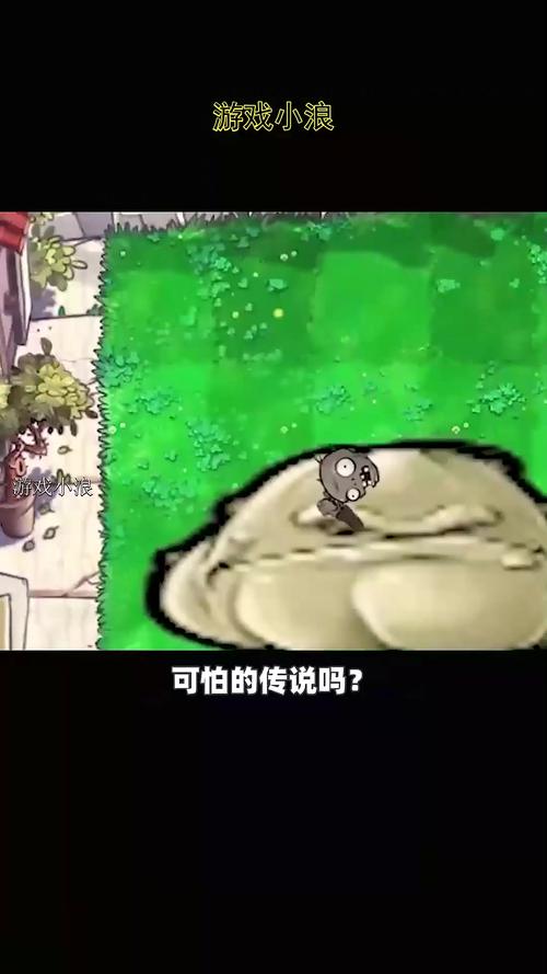 植物大战僵尸的相关事,植物大战僵尸相关内容-第4张图片-屿企游戏网 植物大战僵尸的相关事,植物大战僵尸相关内容-第4张图片-屿企游戏网