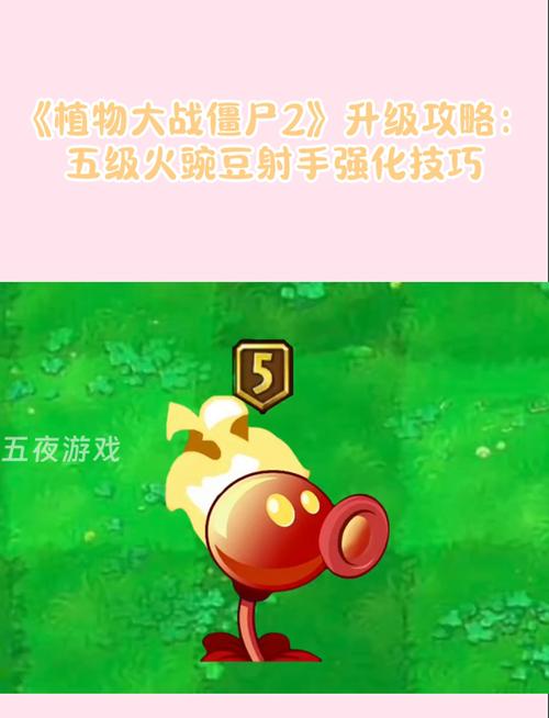 植物大战僵尸怎么升级植物-游戏植物大战僵尸-第2张图片-屿企游戏网