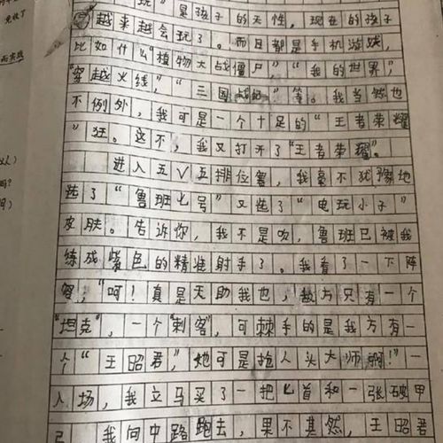 王者荣耀祭祖攻略_王者荣耀怎么玩献祭流-第2张图片-屿企游戏网