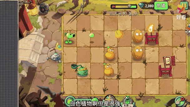 植物大战僵尸带火的植物，植物大战僵尸所有火系植物