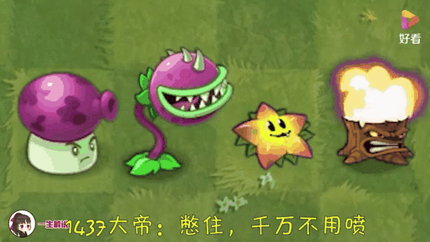 植物大战僵尸2暗影菇-植物大战僵尸暗影菇 百度网盘-第1张图片-屿企游戏网