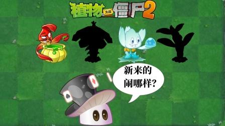 植物大战僵尸二魔术菇-植物大战僵尸二魔术菇视频-第2张图片-屿企游戏网