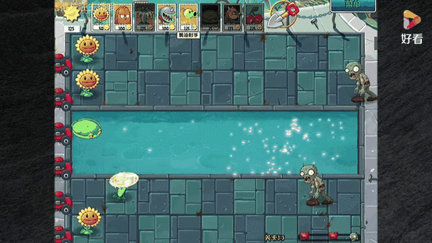 植物大战僵尸2向日葵歌手，植物大战僵尸2向日葵歌手图片-第4张图片-屿企游戏网