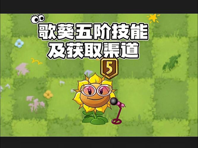 植物大战僵尸2向日葵歌手，植物大战僵尸2向日葵歌手图片-第6张图片-屿企游戏网