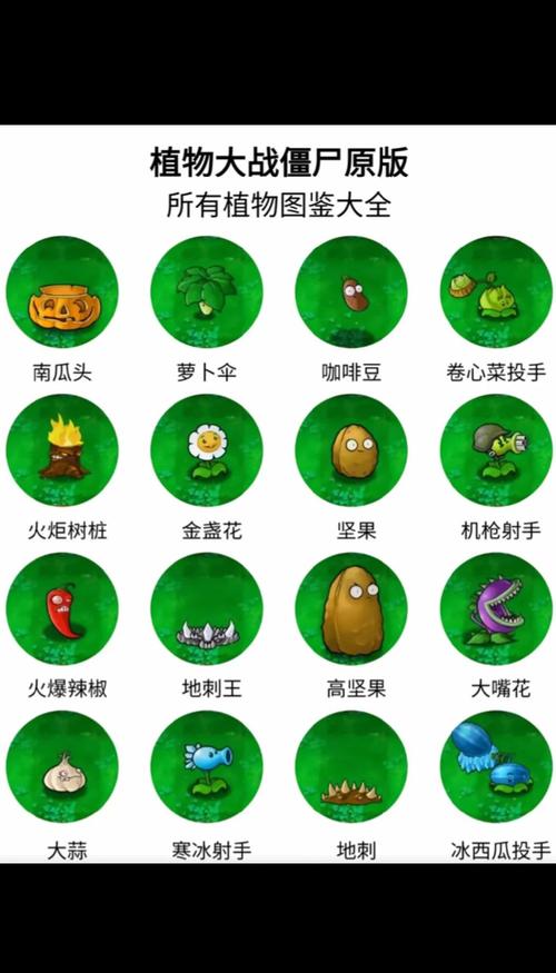 植物大战僵尸中的植物-植物大战僵尸原版-第3张图片-屿企游戏网 植物大战僵尸中的植物-植物大战僵尸原版-第3张图片-屿企游戏网