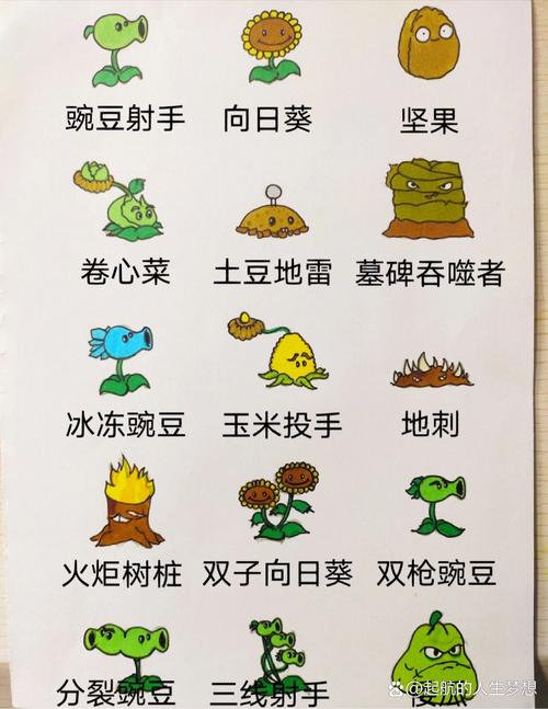 植物大战僵尸中的植物-植物大战僵尸原版-第5张图片-屿企游戏网 植物大战僵尸中的植物-植物大战僵尸原版-第5张图片-屿企游戏网