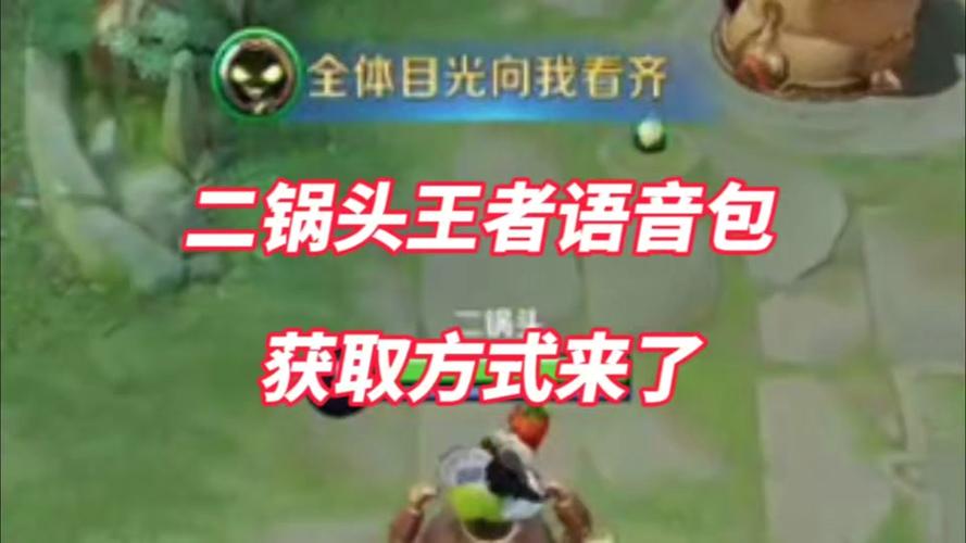 王者荣耀语音怎么获得攻略_新版王者语音怎么获得-第3张图片-屿企游戏网 王者荣耀语音怎么获得攻略_新版王者语音怎么获得-第3张图片-屿企游戏网