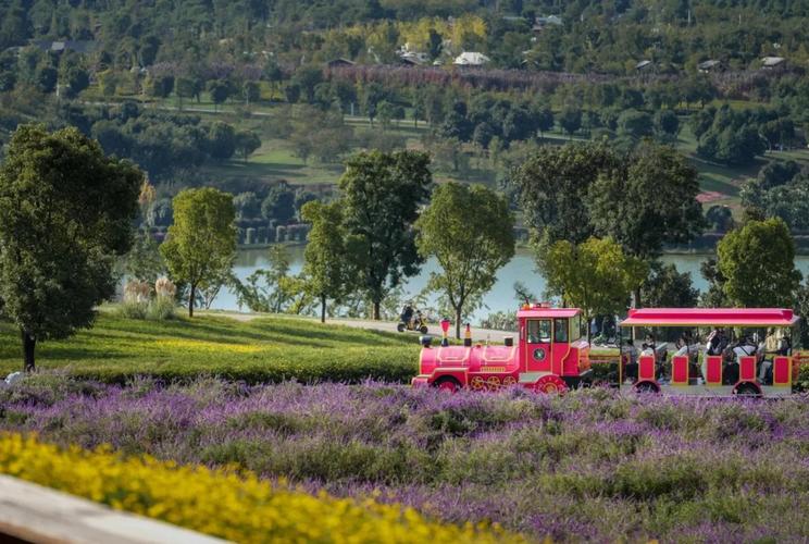 植物大战僵尸秘密花园,植物大战僵尸秘密花园迷宫拼插图-第3张图片-屿企游戏网 植物大战僵尸秘密花园,植物大战僵尸秘密花园迷宫拼插图-第3张图片-屿企游戏网