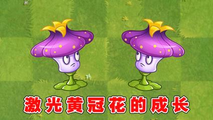 植物大战僵尸花-植物大战僵尸花盆-第1张图片-屿企游戏网