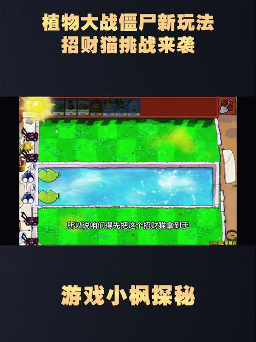 植物大战僵尸挣钱攻略，植物大战僵尸赚钱攻略-第1张图片-屿企游戏网