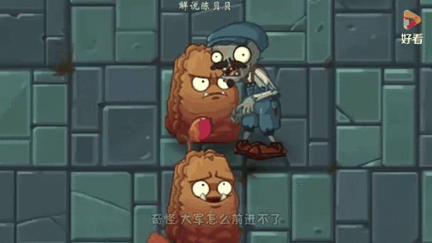 植物大战僵尸坚果墙_植物大战僵尸里面都有哪种颜色的坚果墙?-第3张图片-屿企游戏网