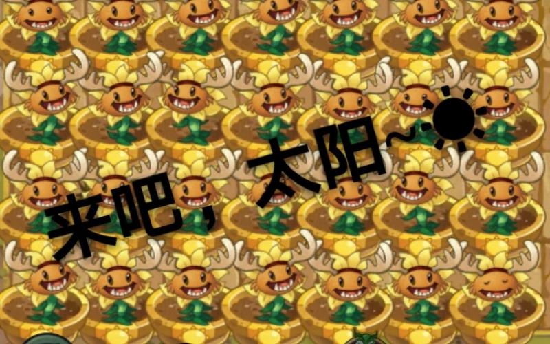 植物大战僵尸2原始向日葵装扮，植物大战僵尸2怎样获得原始向日葵装扮