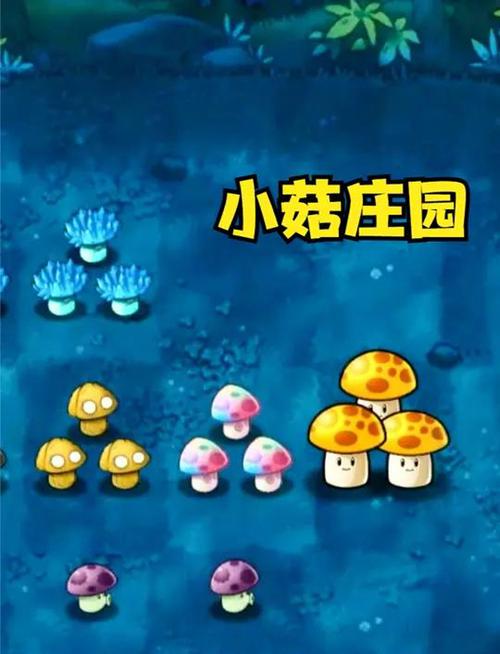 植物大战僵尸休闲花园_植物大战僵尸休闲花园满了怎么办-第1张图片-屿企游戏网 植物大战僵尸休闲花园_植物大战僵尸休闲花园满了怎么办-第1张图片-屿企游戏网