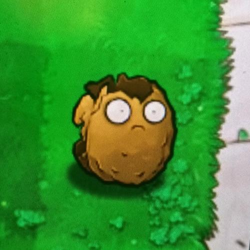 植物大战僵尸2坚果，植物大战僵尸2坚果血量-第5张图片-屿企游戏网