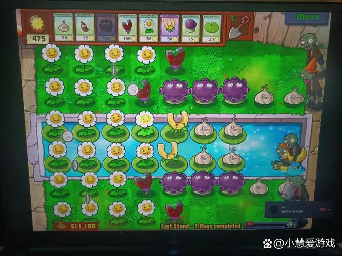 植物大战僵尸刷金币，植物大战僵尸刷金币是哪一关-第4张图片-屿企游戏网