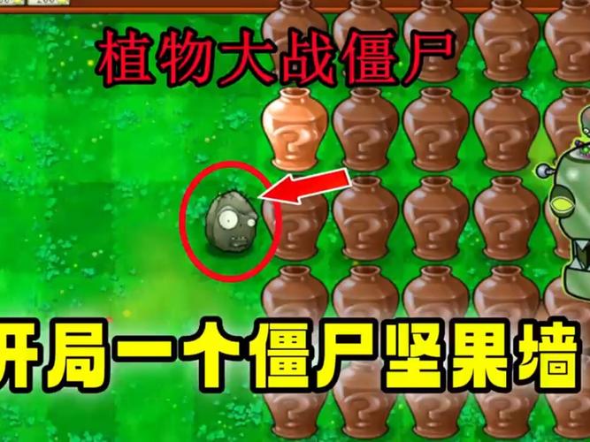植物大战僵尸的坚果-植物大战僵尸的坚果包扎术怎么使用-第1张图片-屿企游戏网 植物大战僵尸的坚果-植物大战僵尸的坚果包扎术怎么使用-第1张图片-屿企游戏网