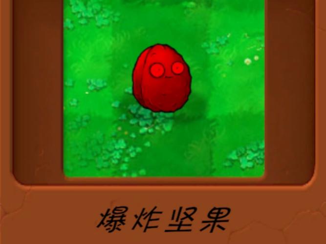 植物大战僵尸的坚果-植物大战僵尸的坚果包扎术怎么使用-第4张图片-屿企游戏网 植物大战僵尸的坚果-植物大战僵尸的坚果包扎术怎么使用-第4张图片-屿企游戏网