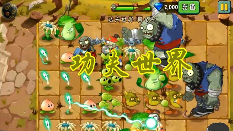 植物大战僵尸24关_植物大战僵尸24关攻略简单版-第4张图片-屿企游戏网