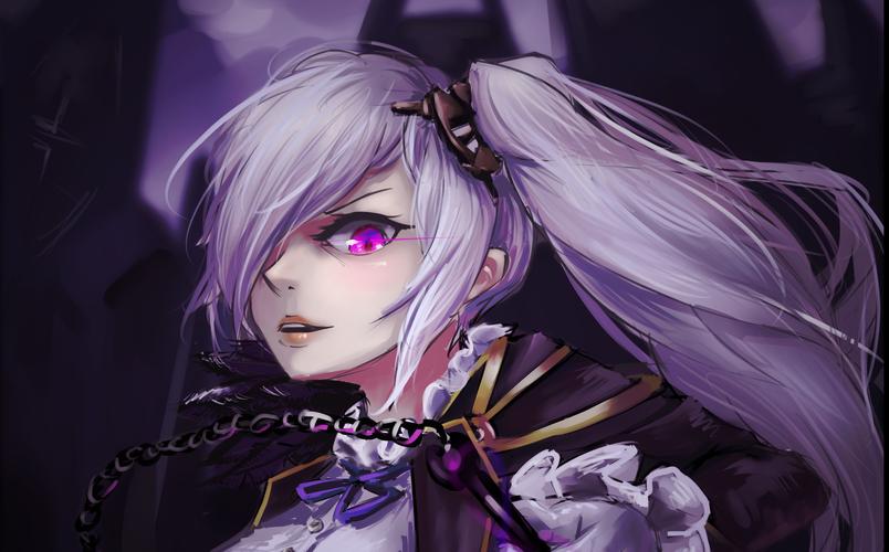 崩坏学院幻影觉醒_崩坏学园幻想进化-第1张图片-屿企游戏网