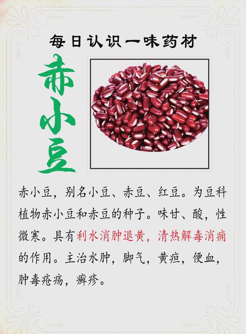 植物大战僵尸阳光豆，植物大战僵尸无限阳光-第2张图片-屿企游戏网