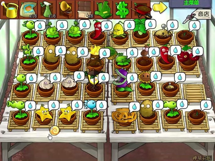 植物大战僵尸金盏花，植物大战僵尸金盏花有多少种花色-第6张图片-屿企游戏网