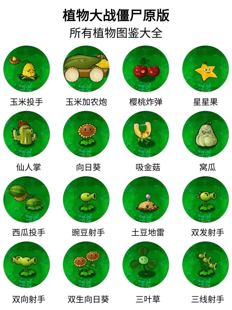 植物大战僵尸图鉴植物,植物大战僵尸图鉴植物玫瑰剑客-第1张图片-屿企游戏网 植物大战僵尸图鉴植物,植物大战僵尸图鉴植物玫瑰剑客-第1张图片-屿企游戏网