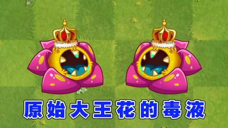 植物大战僵尸2原始大王花，植物大战僵尸2原始大王花的是男是女-第5张图片-屿企游戏网