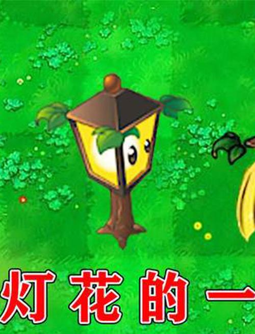 植物大战僵尸路灯花-植物大战僵尸路灯花范围-第6张图片-屿企游戏网